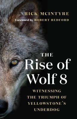 THE RISE OF WOLF 8: WITNESSING THE TRIUMPH OF YELLOWSTONE'S UNDERDOG - MCINTYRE,